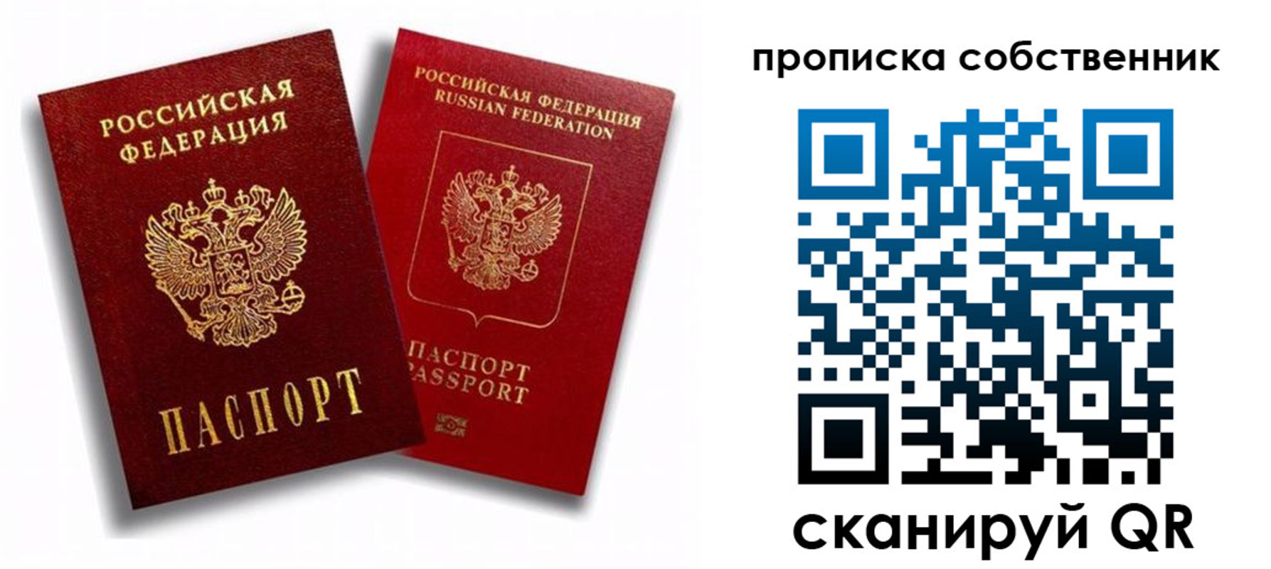 прописка 2025 в Ногинске